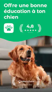 Dogo – Bien éduquer ton chien screenshot
