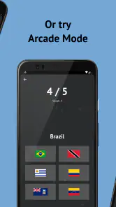 Drapeaux des pays du monde screenshot