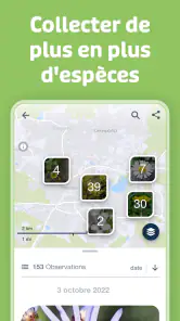 Flora Incognita screenshot