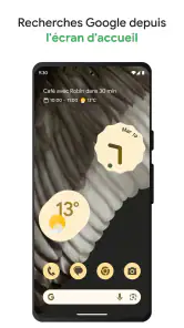 Google screenshot