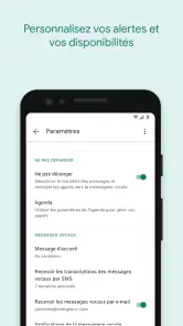 Google Voice screenshot