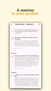 HiveBloom screenshot