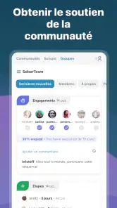 I Am Sober - Je suis sobre screenshot