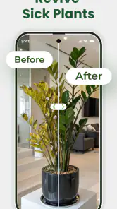 Identificateur de plantes screenshot