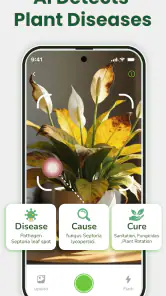 Identificateur de plantes screenshot