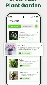 Identificateur de plantes screenshot