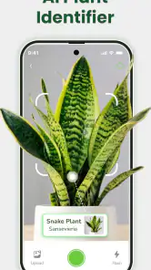 Identificateur de plantes screenshot