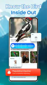 Identification des oiseaux screenshot