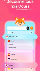 Iori Flashcards : Langues screenshot