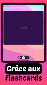Iori Flashcards : Langues screenshot