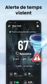 Local Weather screenshot