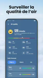 Local Weather screenshot