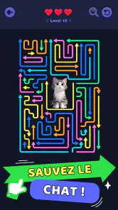 Maze Master: Défi Couleur screenshot
