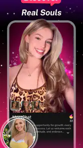 MeetChat screenshot