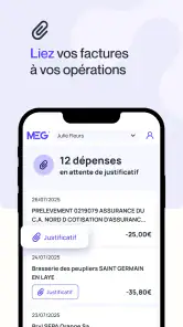 MEG - Mon Expert en Gestion screenshot