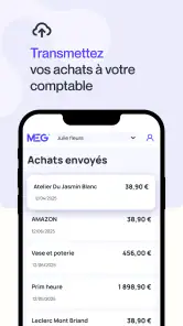 MEG - Mon Expert en Gestion screenshot