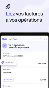 MEG - Mon Expert en Gestion screenshot