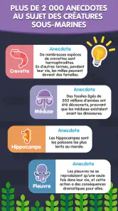 Mer des Mots : Jeu de Lettres screenshot