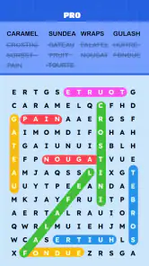 Mots Mêlés Puzzle Challenge screenshot