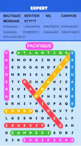 Mots Mêlés Puzzle Challenge screenshot