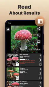 Mushromizer screenshot