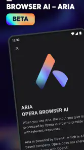 Navigateur Opera bêta screenshot