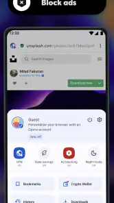 Navigateur Opera bêta screenshot