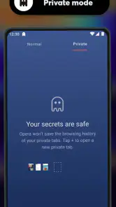 Navigateur Opera bêta screenshot
