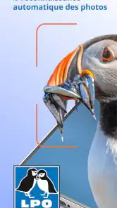 Ois'App - Oiseaux de France screenshot