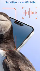 Ois'App - Oiseaux de France screenshot