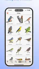 Ois'App - Oiseaux de France screenshot