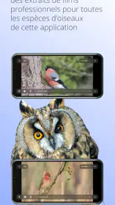 Ois'App - Oiseaux de France screenshot