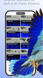Ois'App - Oiseaux de France screenshot