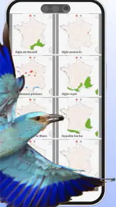 Ois'App - Oiseaux de France screenshot