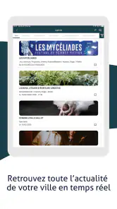 Perpignan la Rayonnante screenshot
