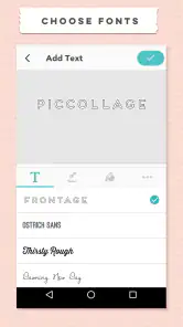 PicCollage Beta screenshot