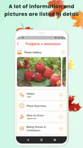 PlantID - Identifier plantes screenshot