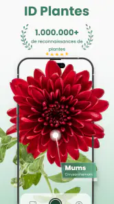 Plantify: Plante Identifiant screenshot