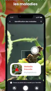 PlantIn plantes reconnaissance screenshot