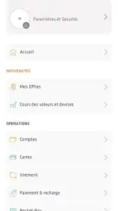 Pocket Bank screenshot