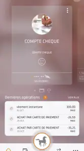 Pocket Bank screenshot