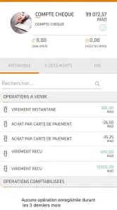 Pocket Bank screenshot