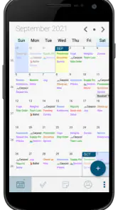 Pocket Informant screenshot