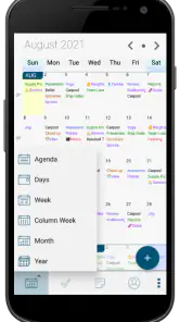 Pocket Informant screenshot