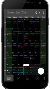 Pocket Informant screenshot