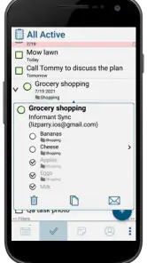 Pocket Informant screenshot
