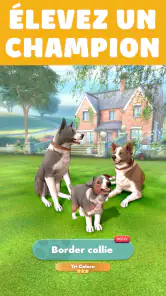 Pocket Paws: mes petits chiens screenshot