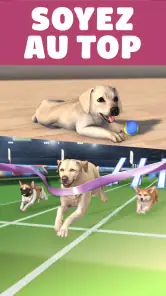 Pocket Paws: mes petits chiens screenshot