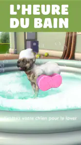 Pocket Paws: mes petits chiens screenshot