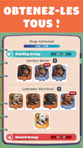Pocket Paws: mes petits chiens screenshot
